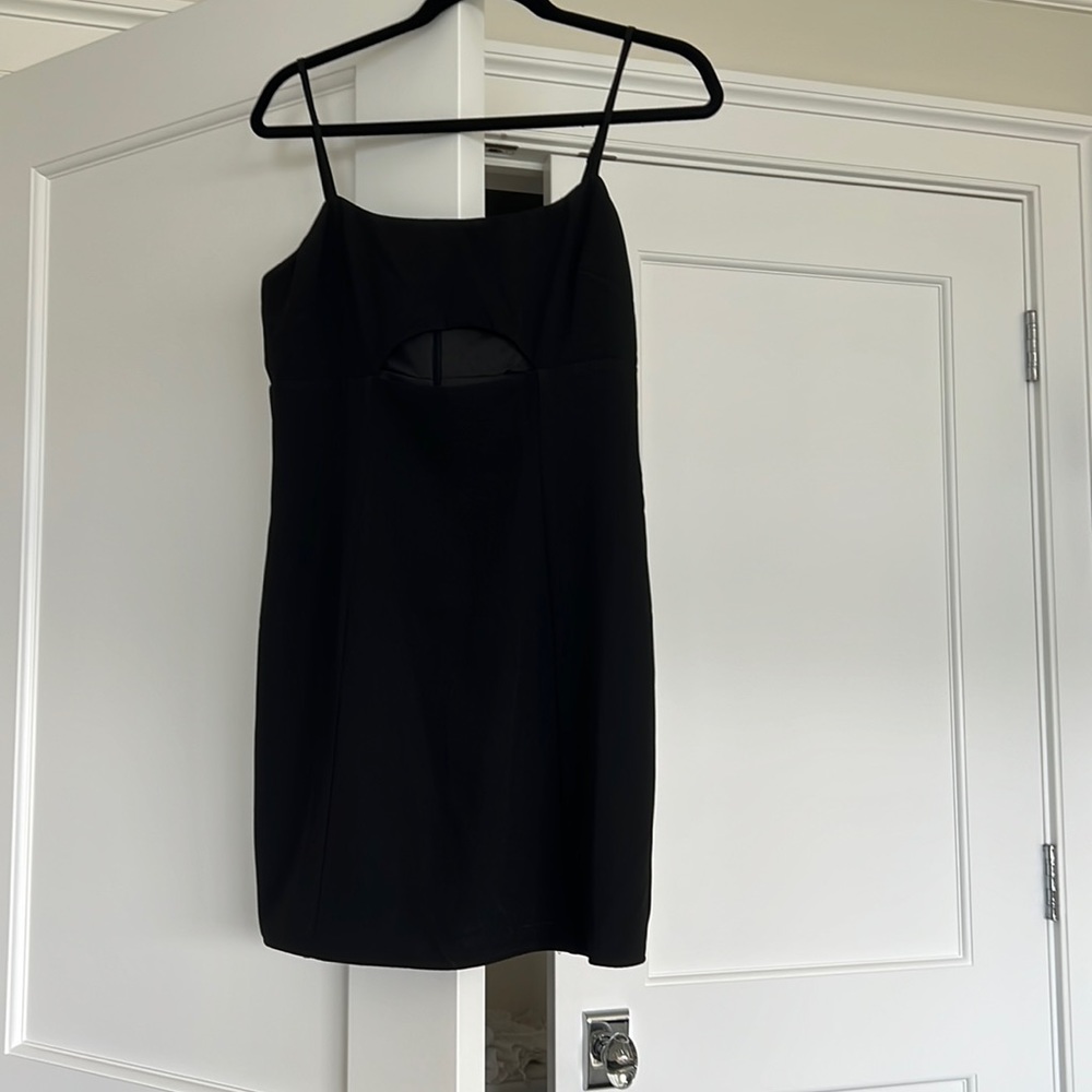 Lovers and Friends dress